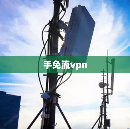 手免流vpn