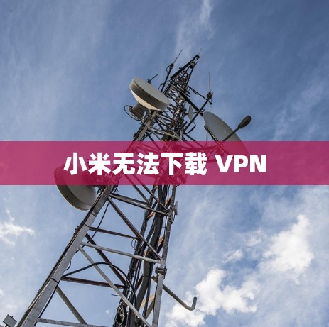 小米无法下载 VPN