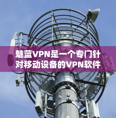 魅蓝VPN是一个专门针对移动设备的VPN软件，提供多点密码和多端支持，帮助用户安全访问互联网。以下是关于如何使用该软件的详细步骤